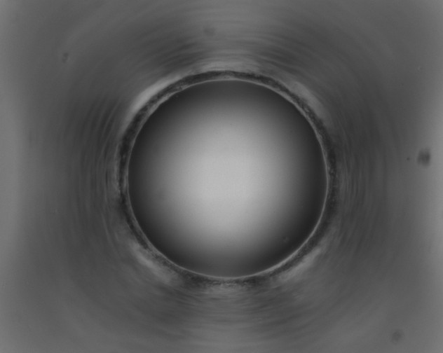X0000093100830200710101536