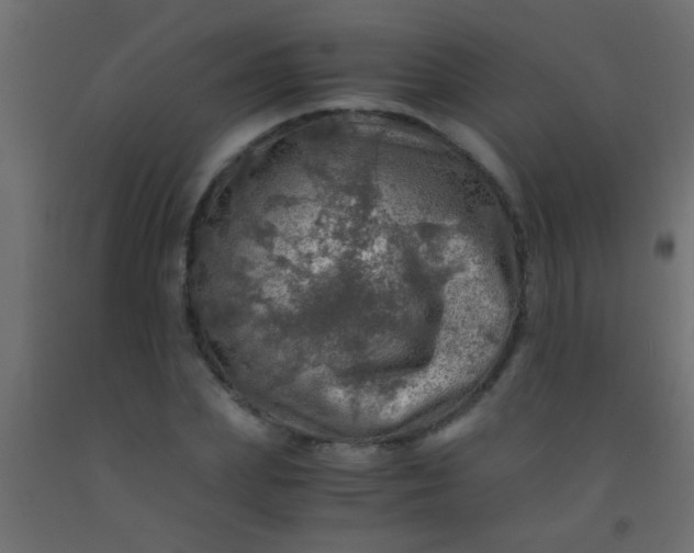 X0000093100831200710101536