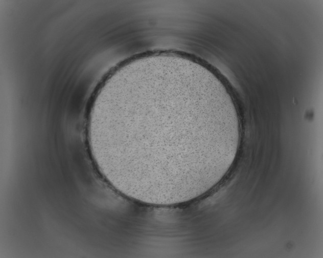 X0000093100832200710101536