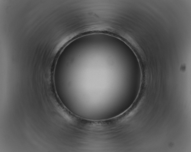 X0000093100834200710101536