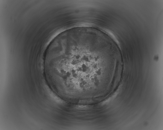 X0000093100835200710101536