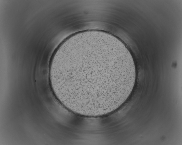 X0000093100836200710101536