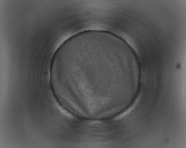 X0000093100837200710101536