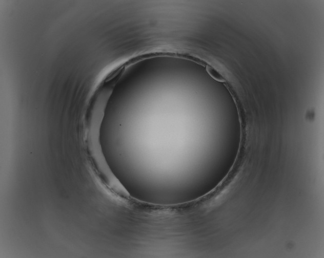 X0000093100838200710101536