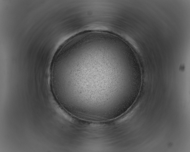 X0000093100840200710101536