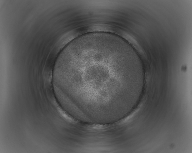 X0000093100841200710101536