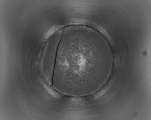 X0000093100842200710101536