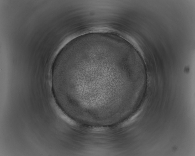 X0000093100843200710101536