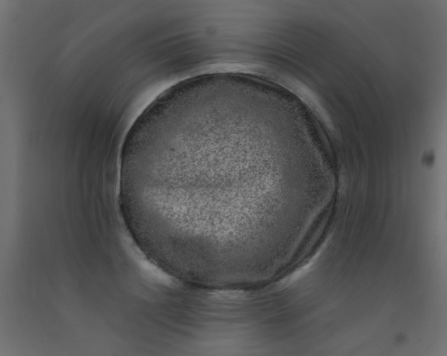 X0000093100844200710101536