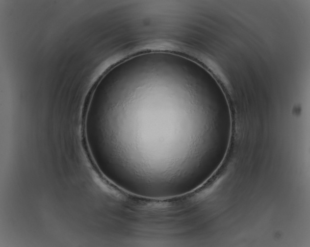 X0000093100845200710101536