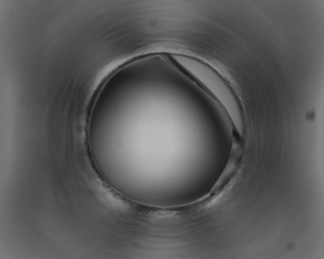 X0000093100846200710101536