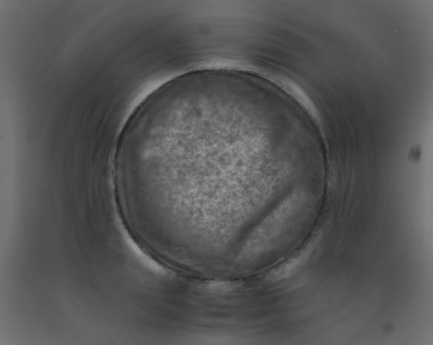 X0000093100847200710101536