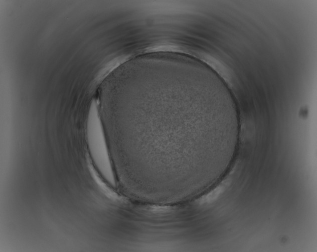 X0000093100849200710101536