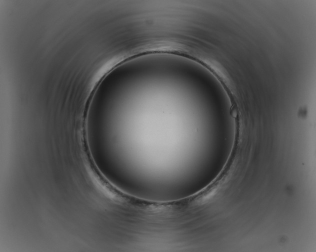 X0000093100850200710101536