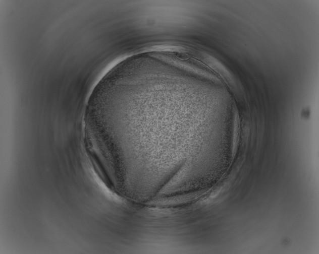 X0000093100852200710101536