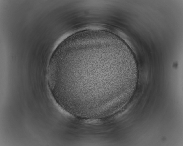 X0000093100853200710101536