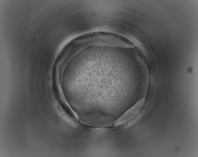 X0000093100854200710101536