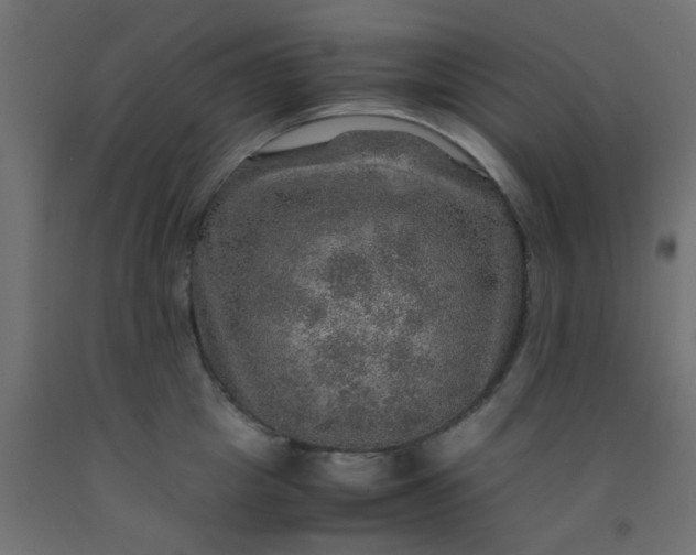 X0000093100857200710101536
