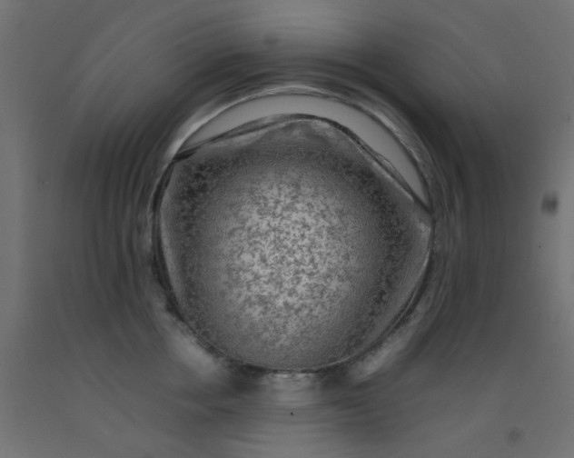 X0000093100858200710101536