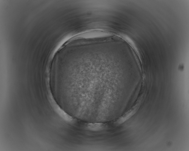 X0000093100859200710101536