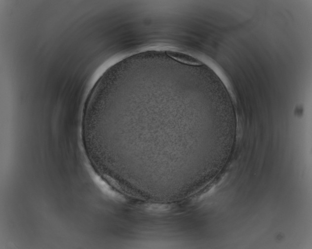 X0000093100861200710101536