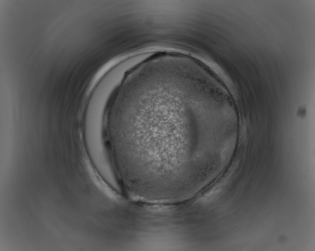 X0000093100862200710101536