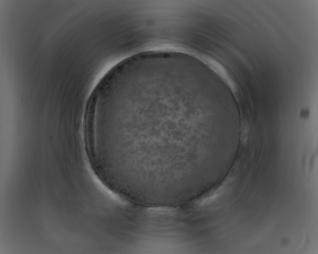 X0000093100863200710101536