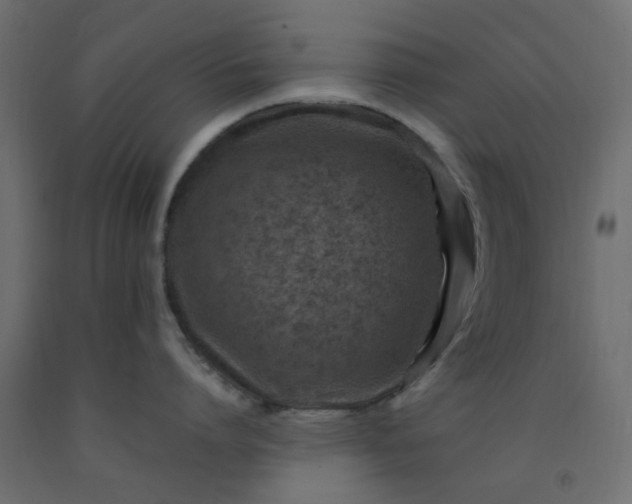 X0000093100864200710101536