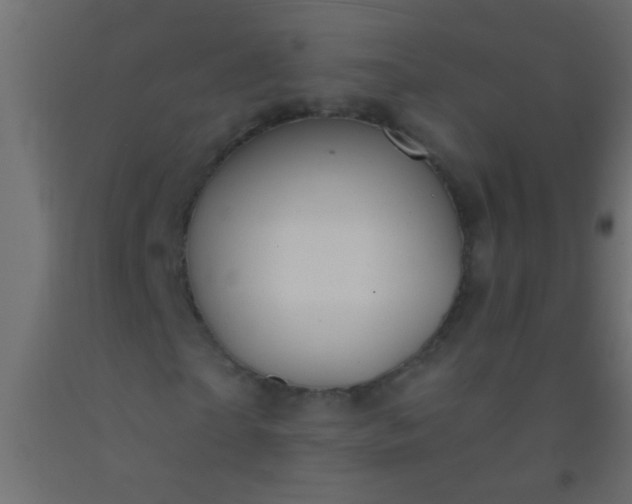X0000093100865200710101536