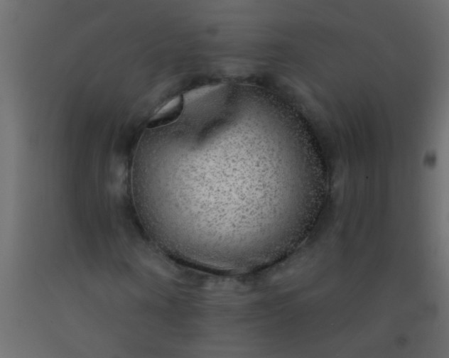 X0000093100866200710101536