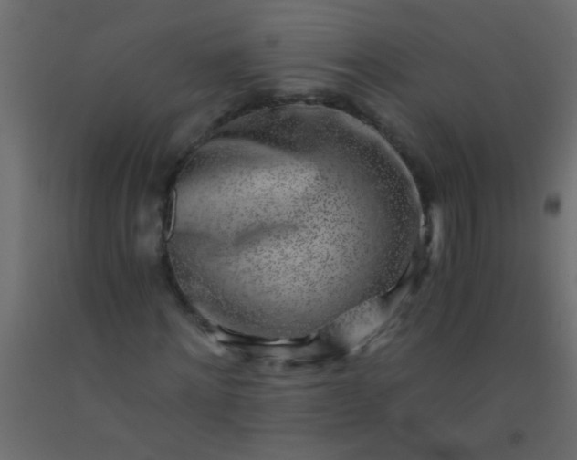 X0000093100868200710101536