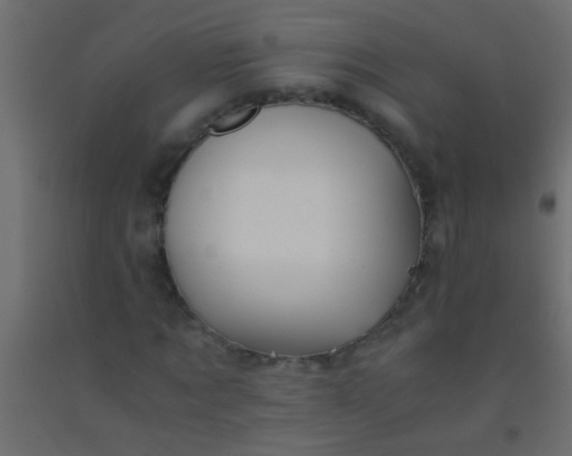 X0000093100869200710101536