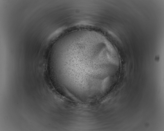 X0000093100870200710101536
