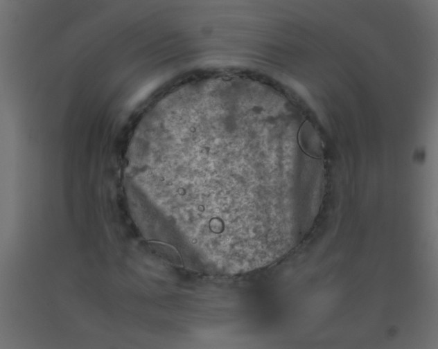 X0000093100871200710101536