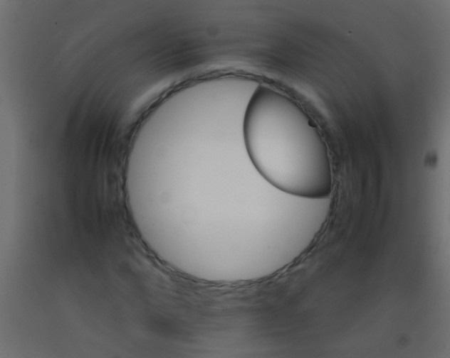 X0000093100872200710101536