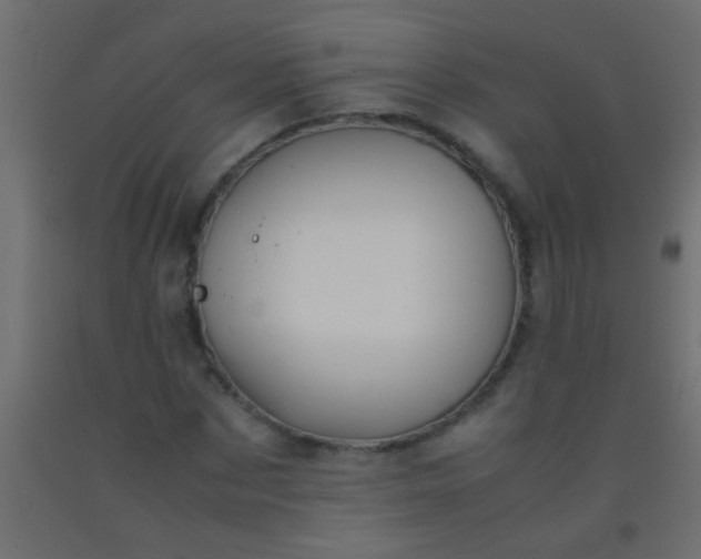 X0000093100873200710101536