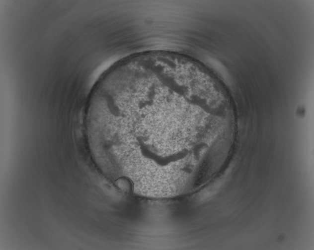 X0000093100875200710101536