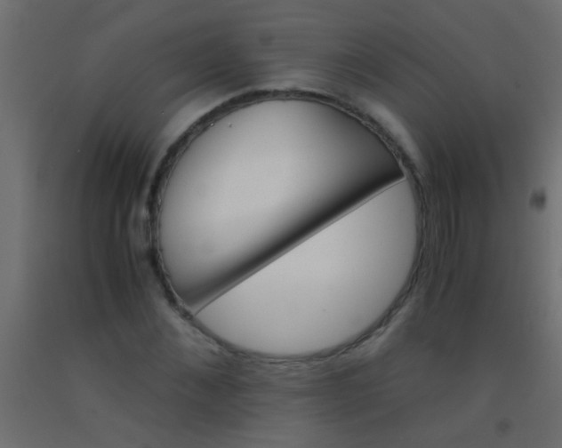 X0000093100876200710101536
