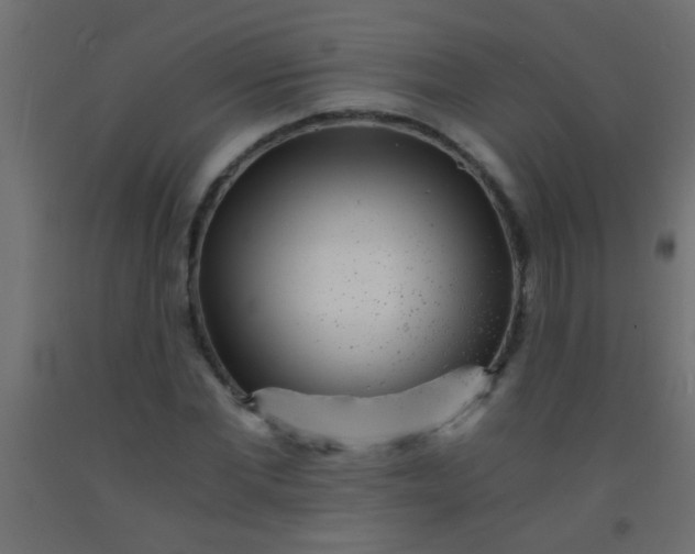 X0000093100877200710101536