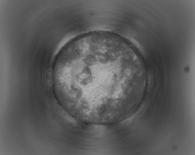 X0000093100878200710101536