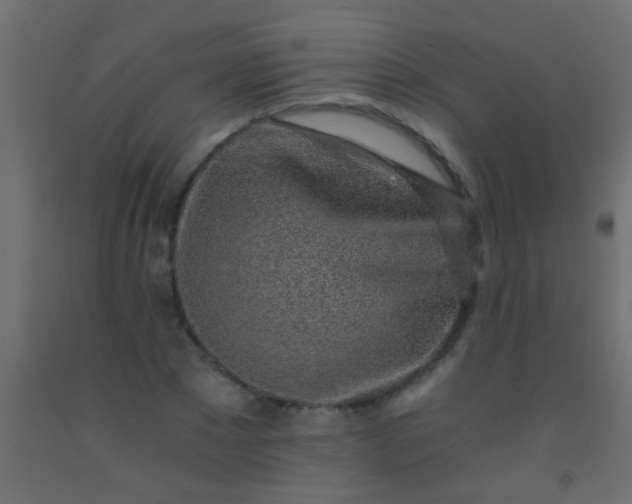 X0000093100881200710101535