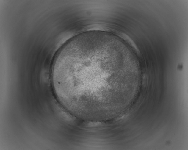 X0000093100882200710101535