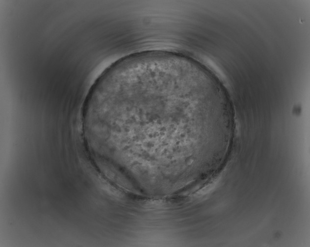 X0000093100883200710101535