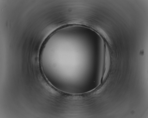 X0000093100884200710101535