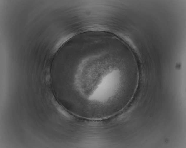 X0000093100889200710101535