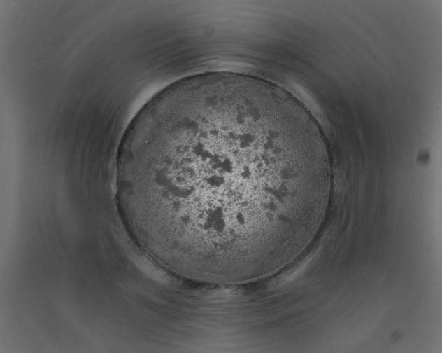 X0000093100891200710101535