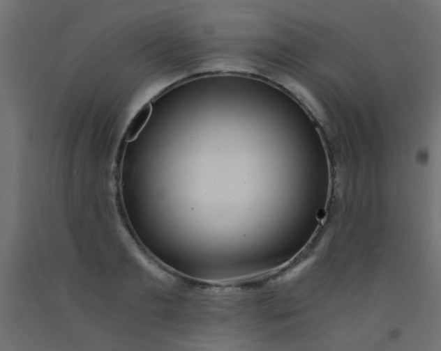 X0000093100893200710101535