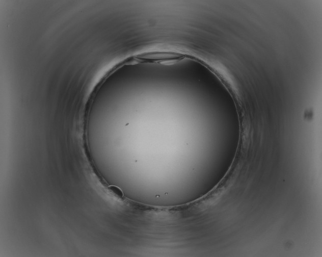X0000093100896200710101535