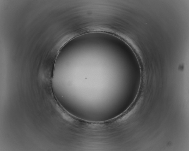 X0000093100897200710101535