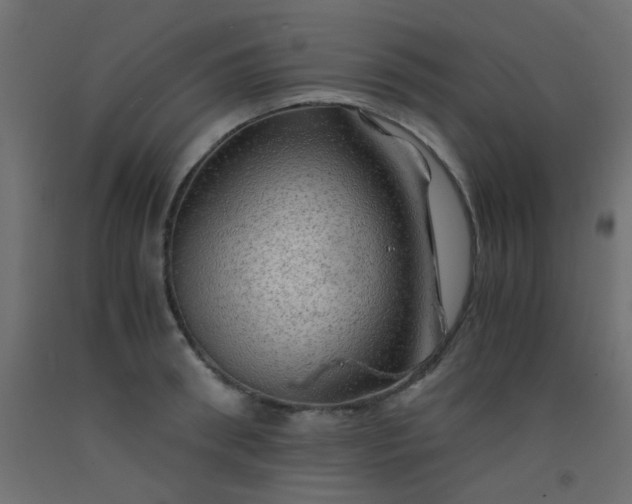 X0000093100898200710101535
